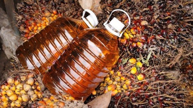 Crude Palm Oil (CPO)